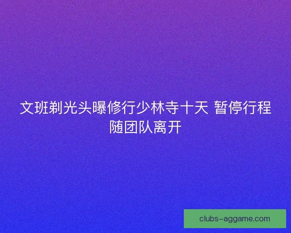 文班剃光头曝修行少林寺十天 暂停行程随团队离开