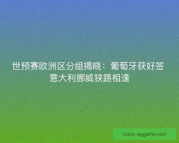 世预赛欧洲区分组揭晓：葡萄牙获好签 意大利挪威狭路相逢